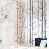 black and white birch tree peel and stick wallpaper