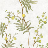 chinoiserie lemon tree wallpaper peel and stick